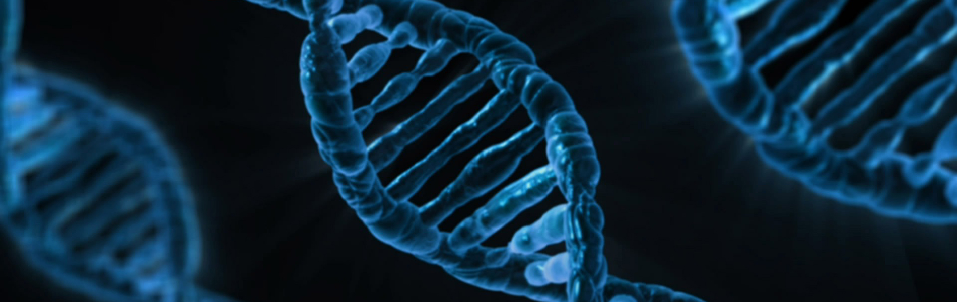 SOLUCIONES BIOLÓGICAS DE ACUERDO A LOS REQUERIMIENTOS EXIGIDOS POR EL MERCADO